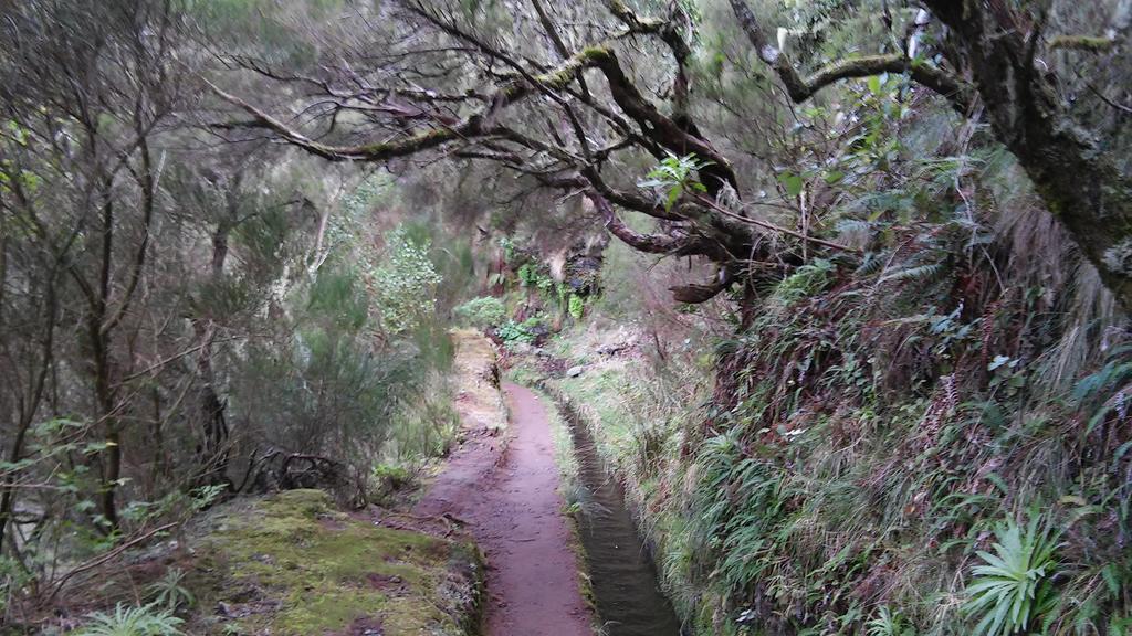 Levada Nova House Villa Ponta do Sol  Eksteriør billede