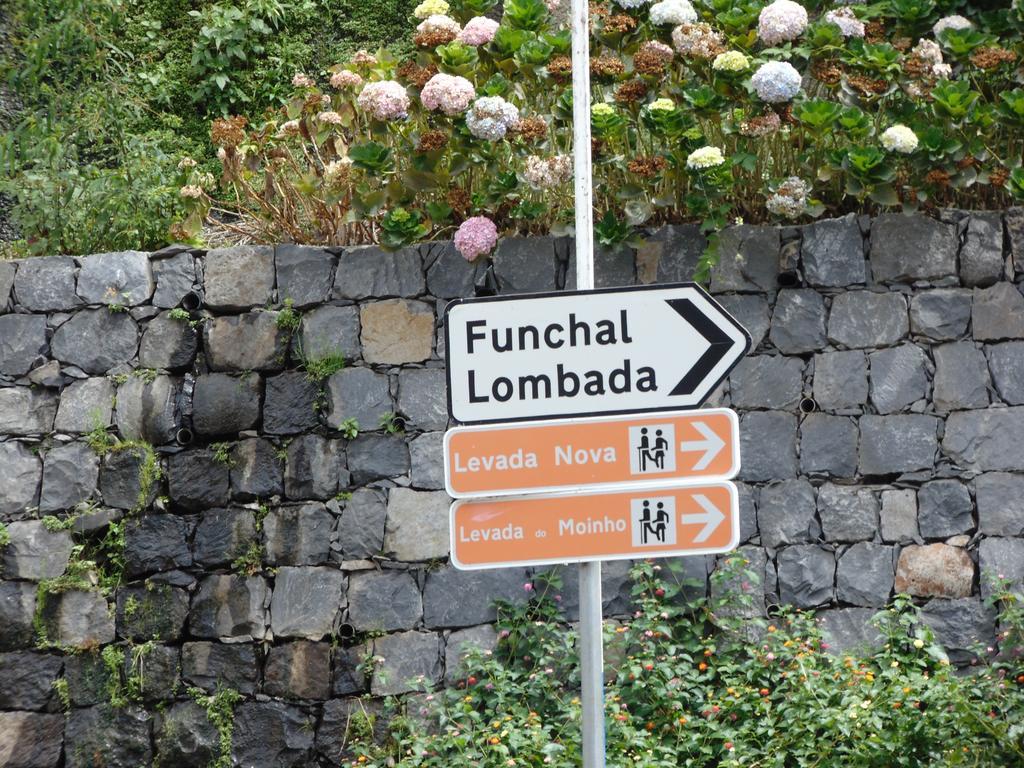 Levada Nova House Villa Ponta do Sol  Eksteriør billede